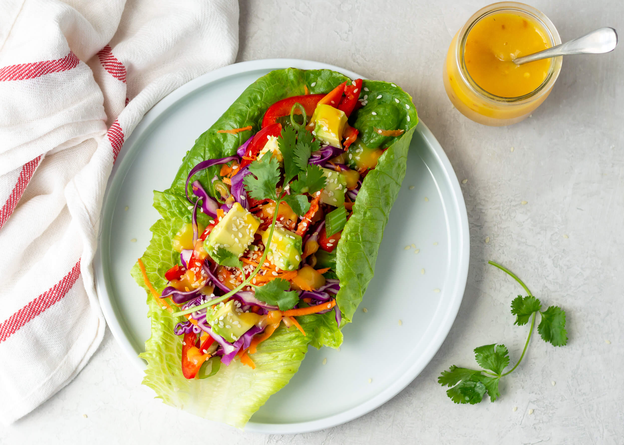 Nutrition Planning for Holistic Oral Health: Rainbow Lettuce Wraps with Spicy Mango Dressing
